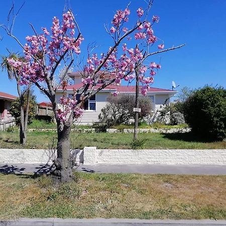 Homestay Double Room, Near The City Center Christchurch Dış mekan fotoğraf