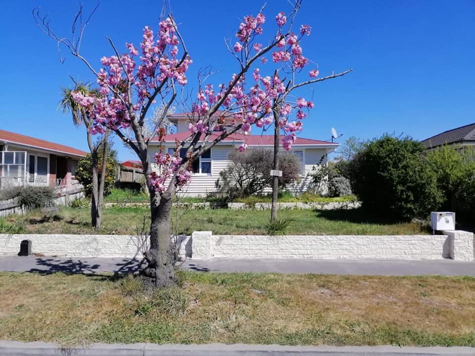 Homestay Double Room, Near The City Center Christchurch Dış mekan fotoğraf